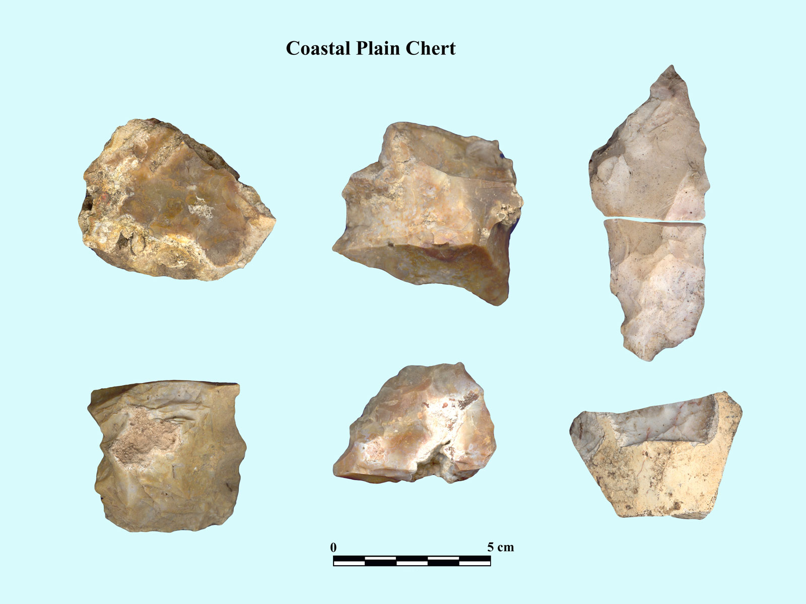 Caught-Knapping-2)-Coastal-Plain-chert-bifaces