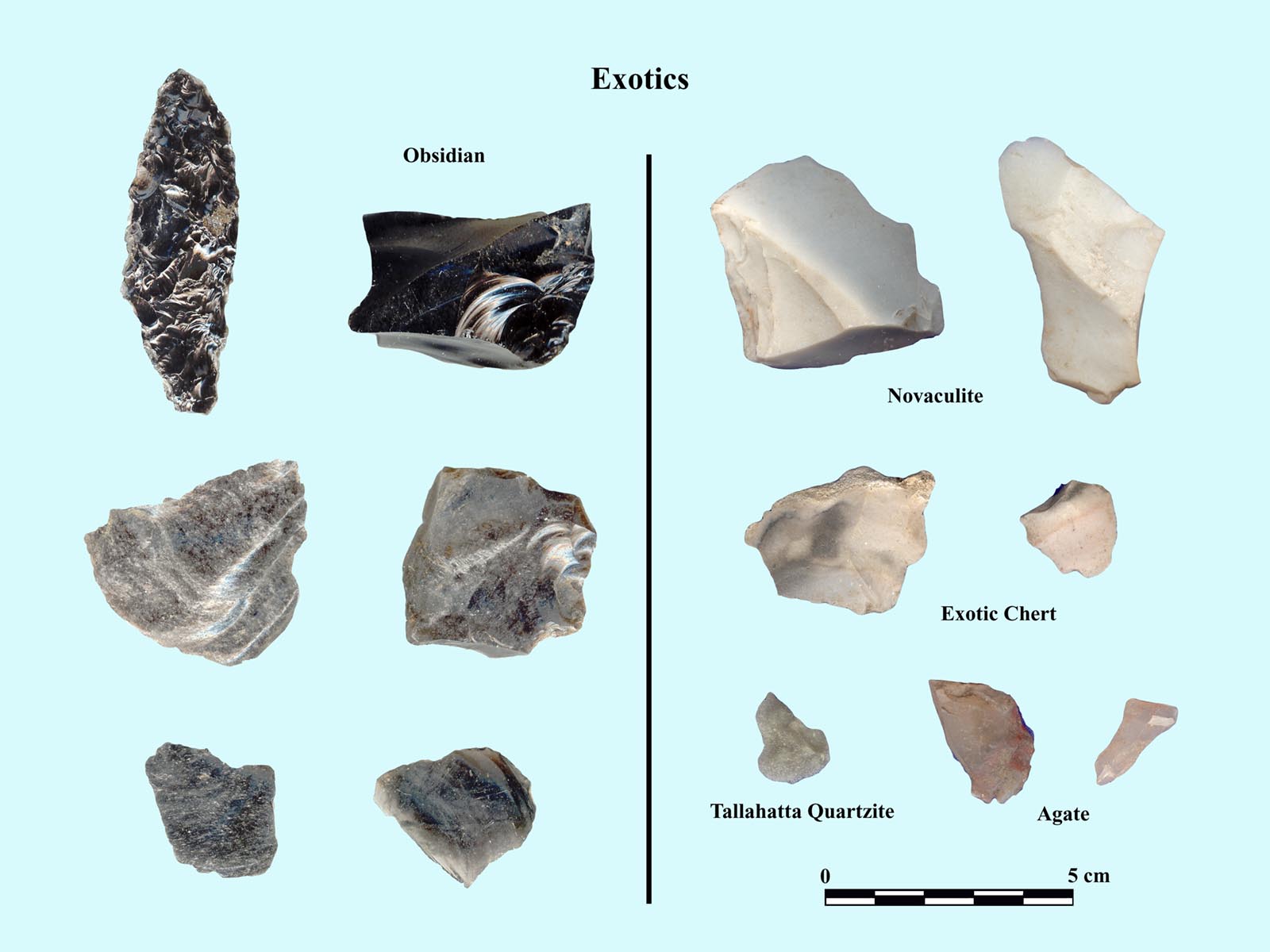 Caught-Knapping-3)-Exotics